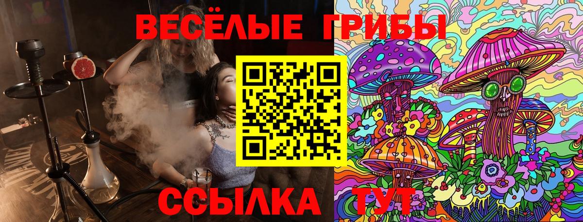 Галлюциногенные грибы Psilocybe  Вход с VPN  Галлюциногенные грибы ЛСД  Гусь-Хрустальный 