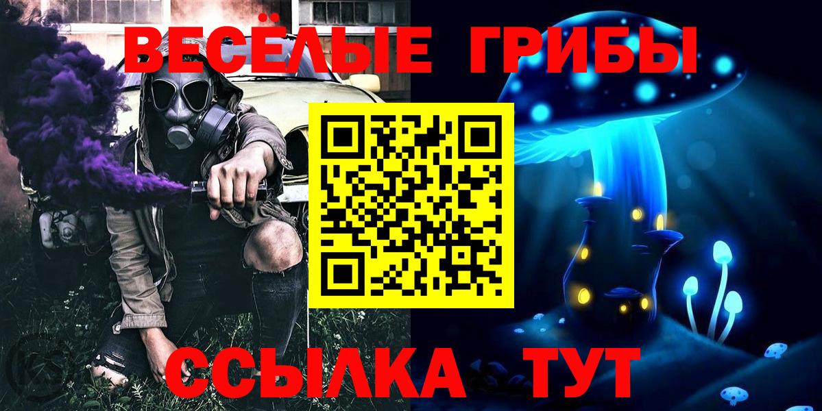 Галлюциногенные грибы мицелий Гусь-Хрустальный